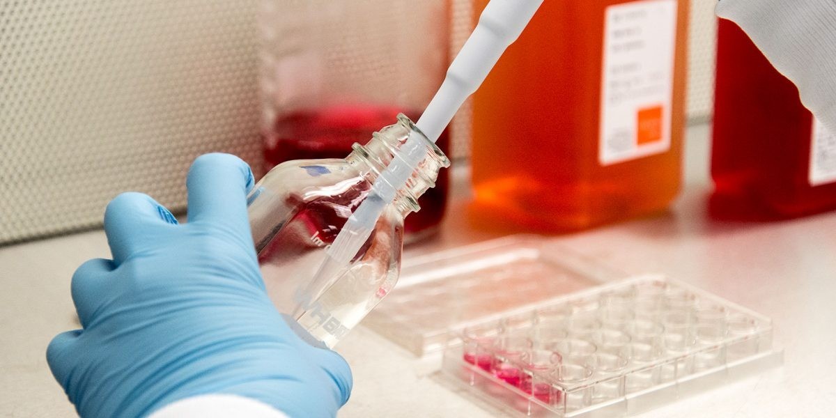 Biopreservation Market Outlook on Industry CAGR Value over the Forecast Period