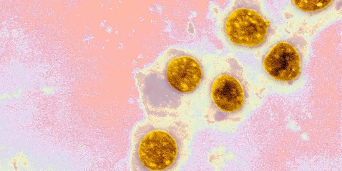 Global Chlamydia Infection Treatment Market Outlook Shows A Whopping Industry CAGR; Declares MRFR