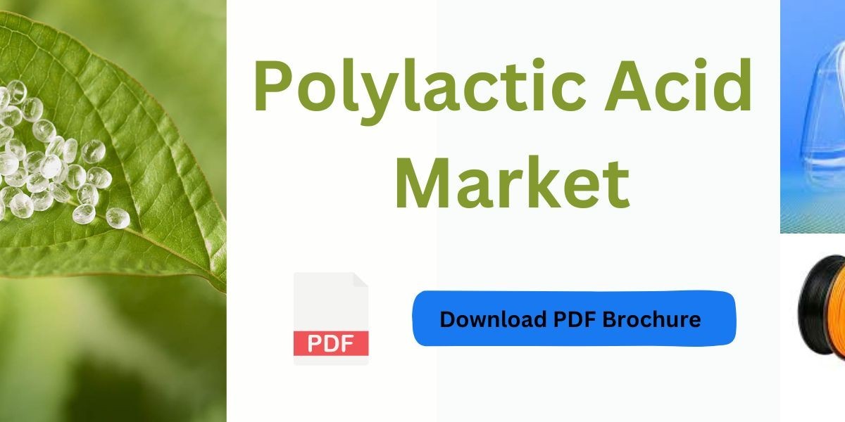 Polylactic Acid: A Game-Changer in the Construction and Building Materials Industry