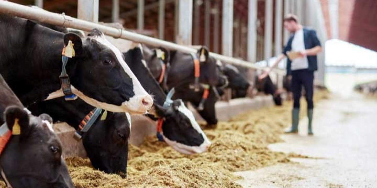 Animal Feed micronutrient Market Analysis, Size, Share and Key Trends 2023 – 2030