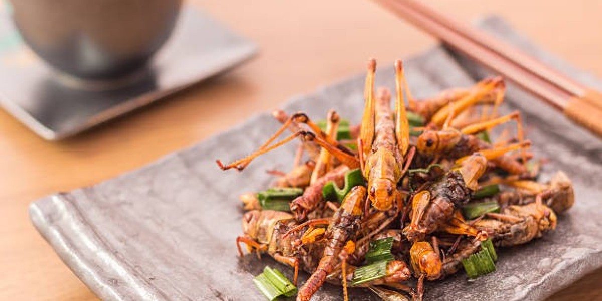Edible Insect is set to witness a move in growth by 2030 - IMR