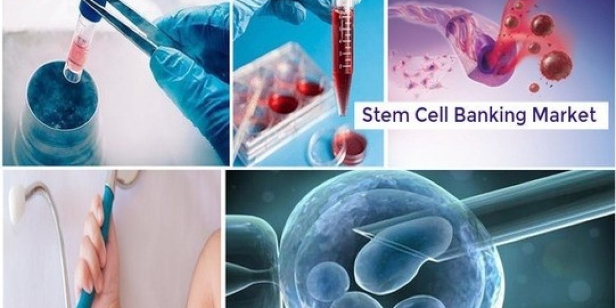 Stem Cell Banking Market Share, Key Opportunities, Trends and Forecasts