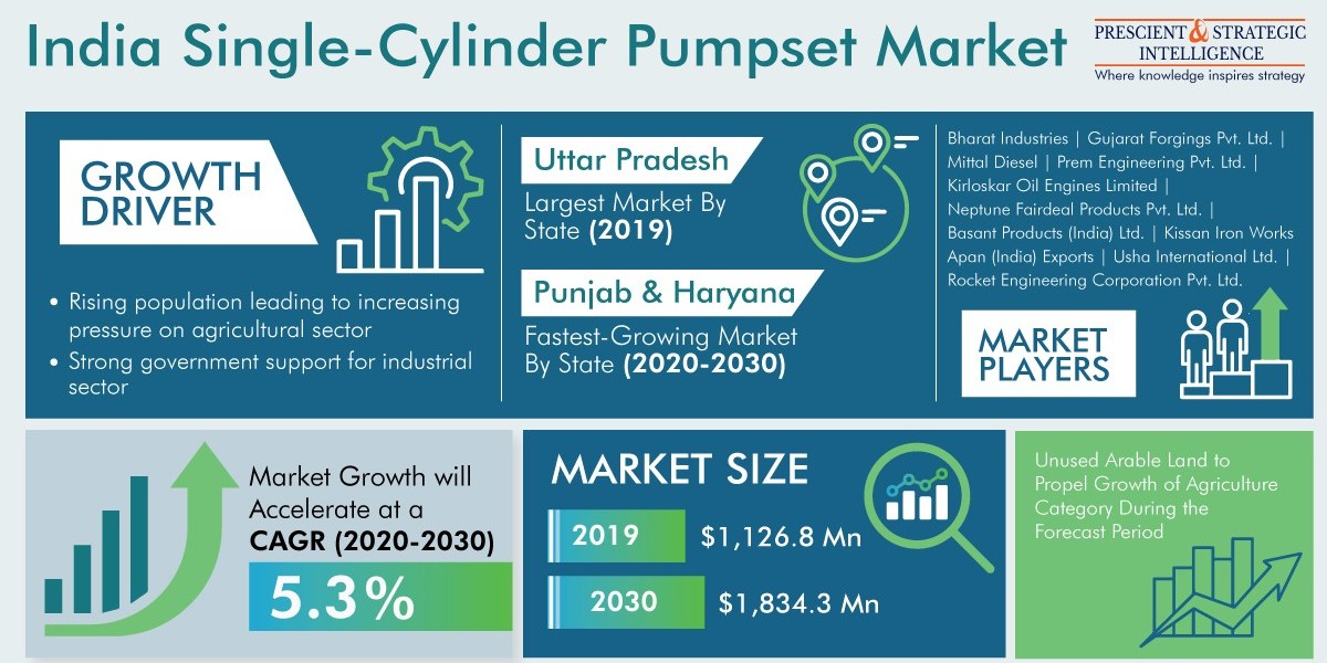 India Single-Cylinder Pumpset Market Analysis by Trends, Size, Share, Growth Opportunities, and Emerging Technologies