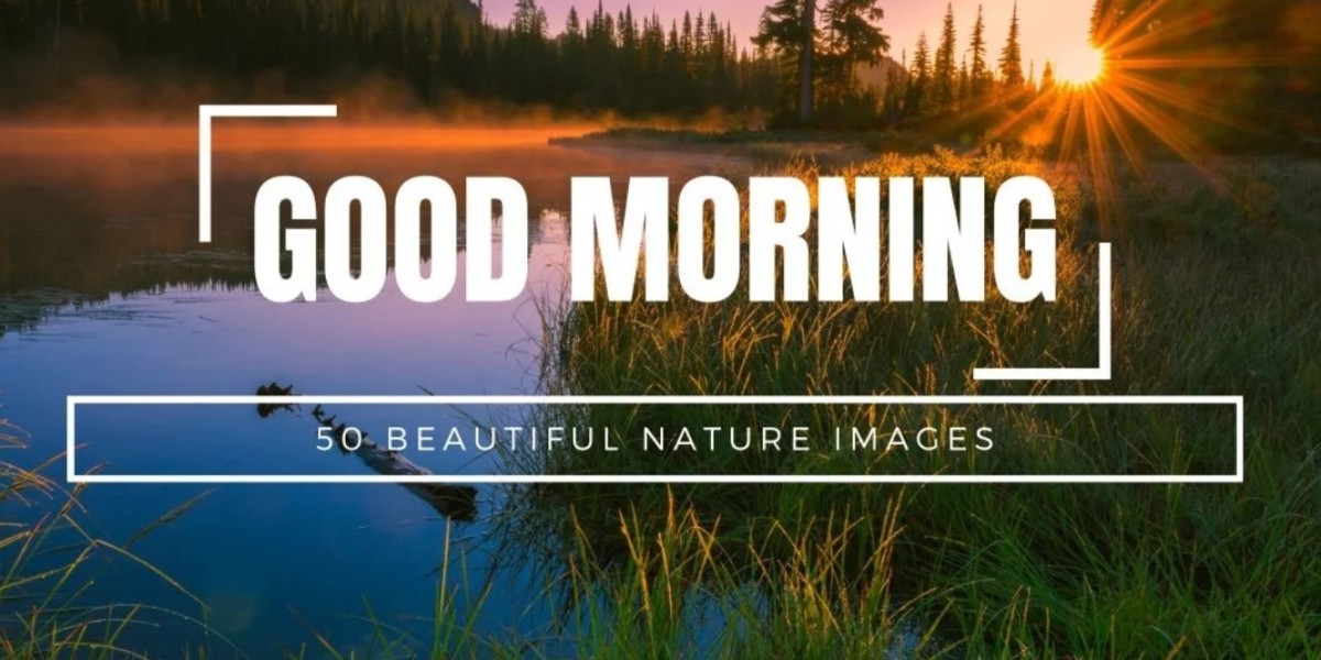 Connecting with Nature: Begin Your Day with Breathtaking Good Morning Images