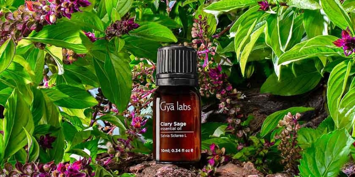 Buy Clary Sage Oil: Your Guide to Purchasing Aromatic Bliss