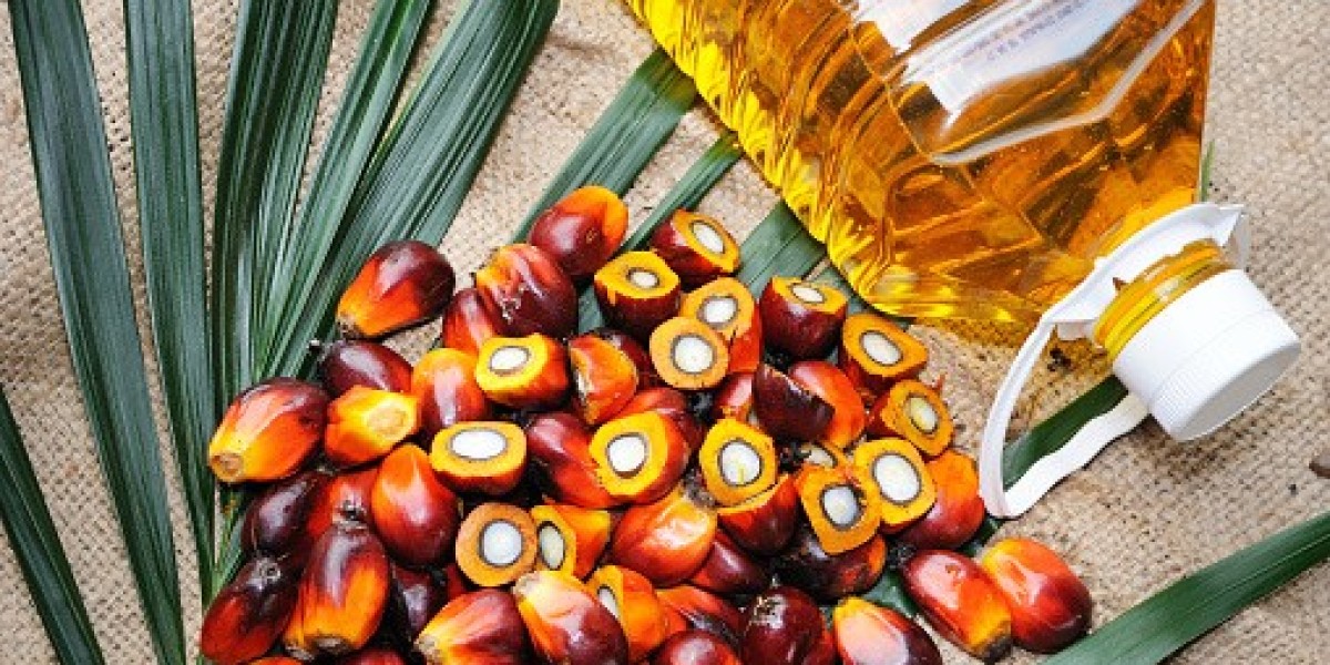 North America & Europe Palm Derivatives Key Market Players Analysis by Statistics, and Forecast 2028