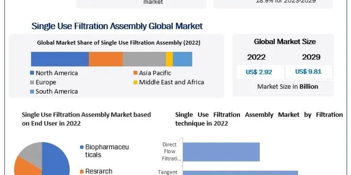 Single Use Filtration Assembly Market Upcoming Opportunities, Demands and Forecast to 2029