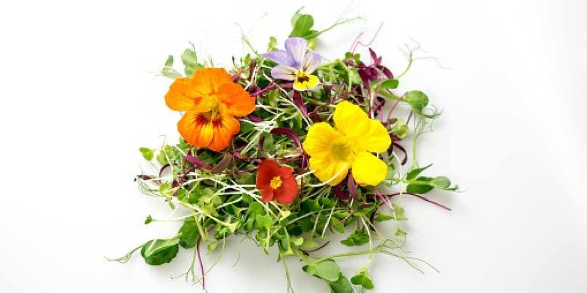 Edible Flowers Market Outlook with Investment, Gross Margin, and Forecast 2032