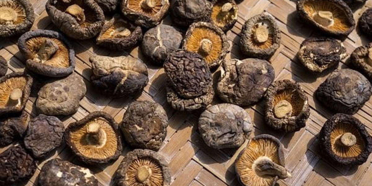Shiitake Mushroom Market Overview of Top Competitors, Gross Margin, and Forecast to 2032