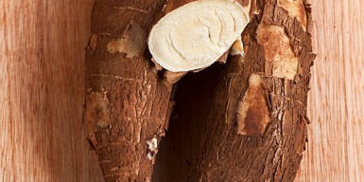 Cassava Market Insights: Companies with Revenue and Forecast 2032