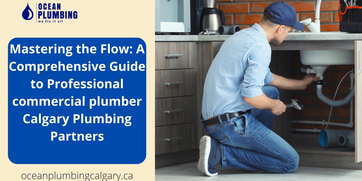 Mastering the Flow: A Comprehensive Guide to Professional commercial plumber Calgary