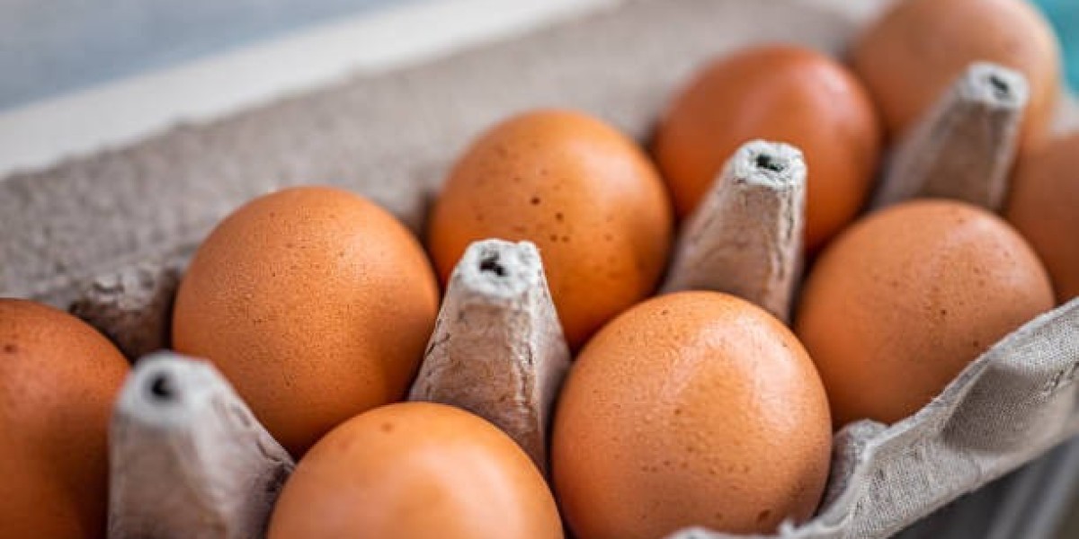 Cage Free Eggs Market Report by Growth, and Competitor with Statistics, Forecast 2030