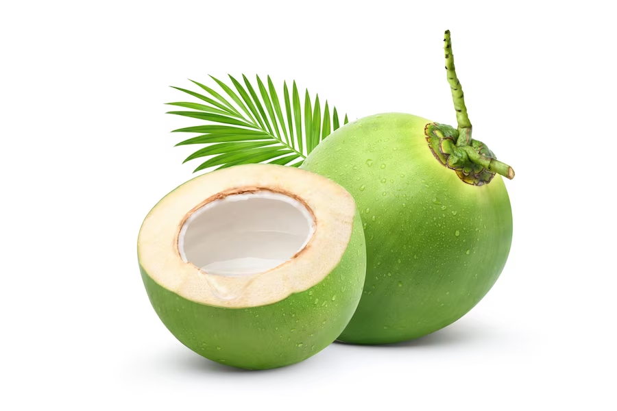 Unveiling the Tender Coconut Finest Suppliers and Distributors – Coconut Mashkiri