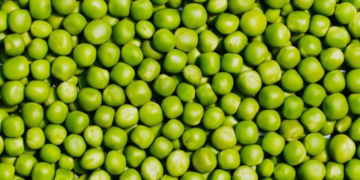 North America Pea Starch: Key Market Players, Business Prospects, Regional Demand, and Forecast 2030