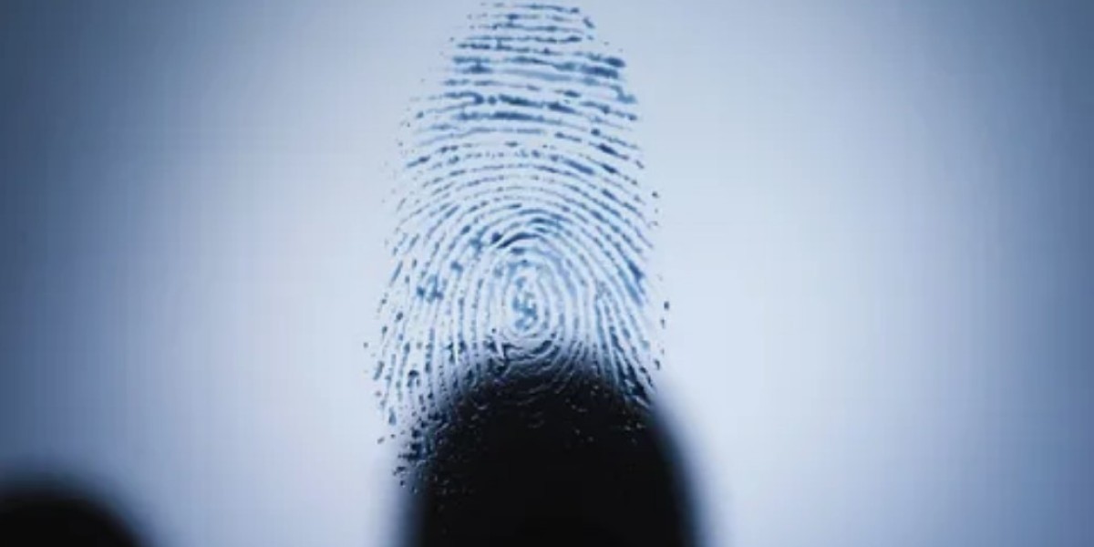 Uncovering Innovation: Exploring Latent Patents and Plastic Fingerprints