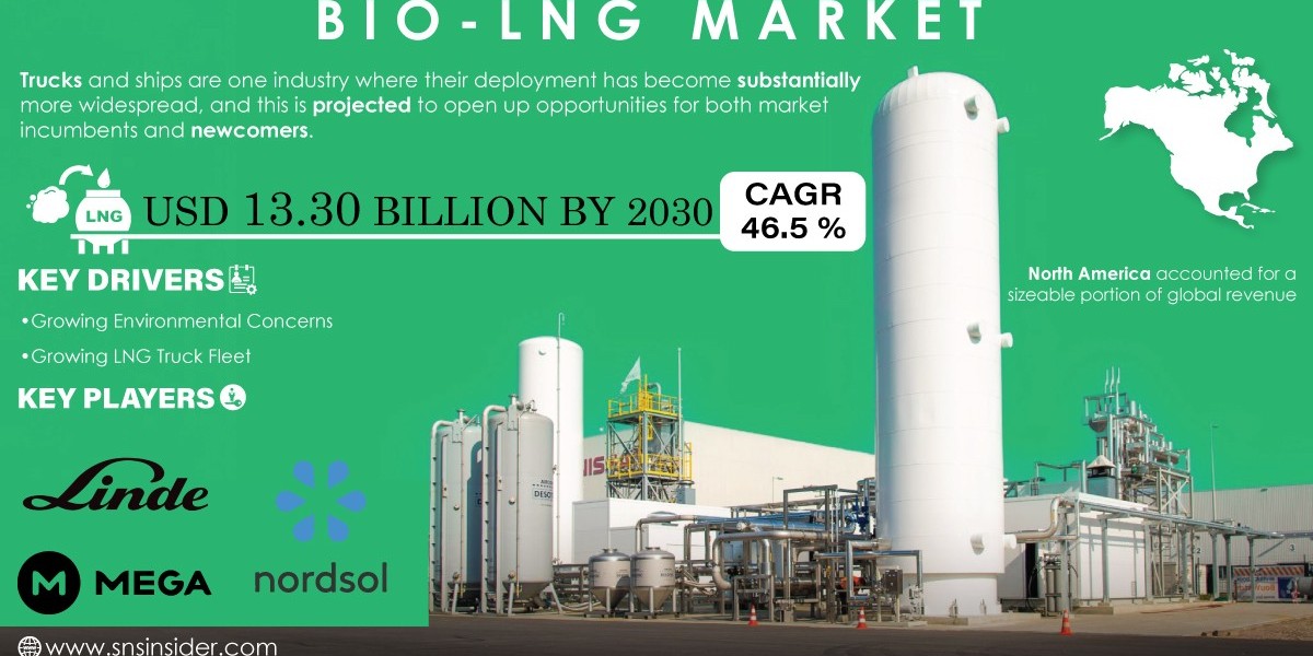 Size and Share of the Bio-LNG Market: Current Status and Future Projections