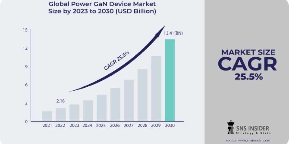 Pioneering Power: Exploring Product Segmentation in the Power GaN Device Market