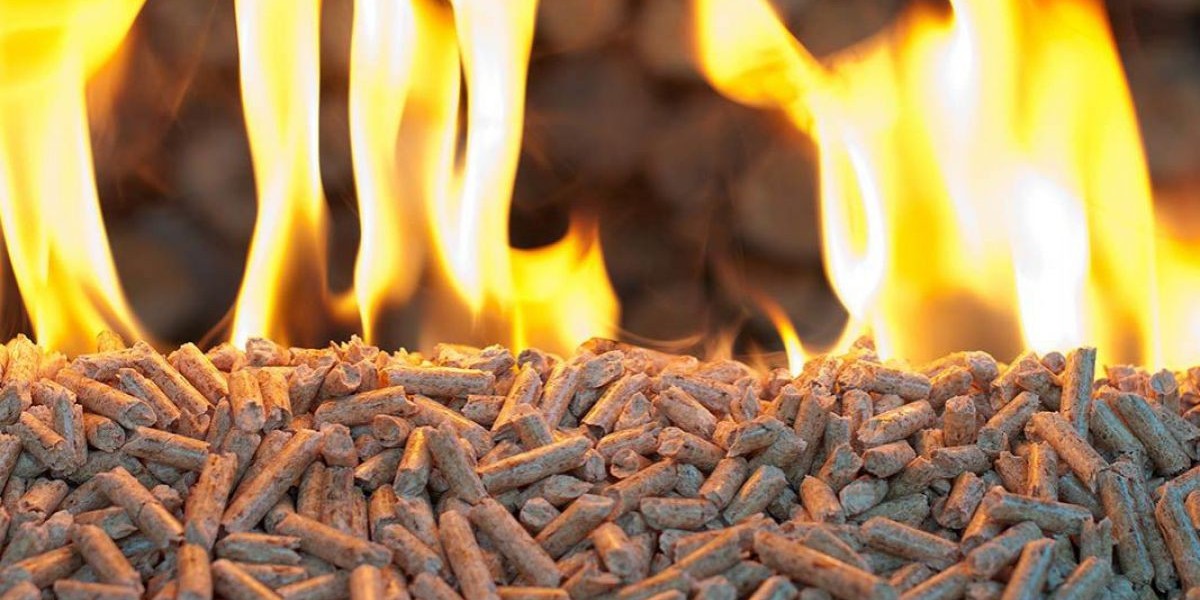 Europe's Biomass Pellets Market Envisions Significant Expansion, Aiming for USD 22.2 Billion by 2033