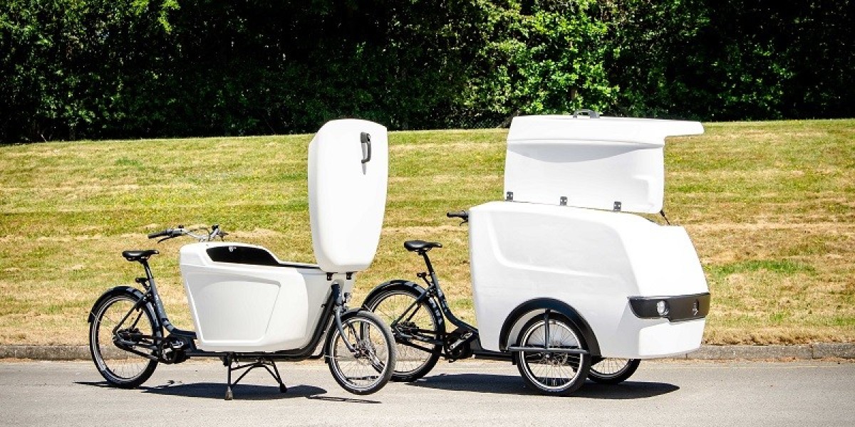 Electric Cargo Bikes Market to Grow at a Surprising CAGR by 2031 As Revealed In New Report by SNS Insider