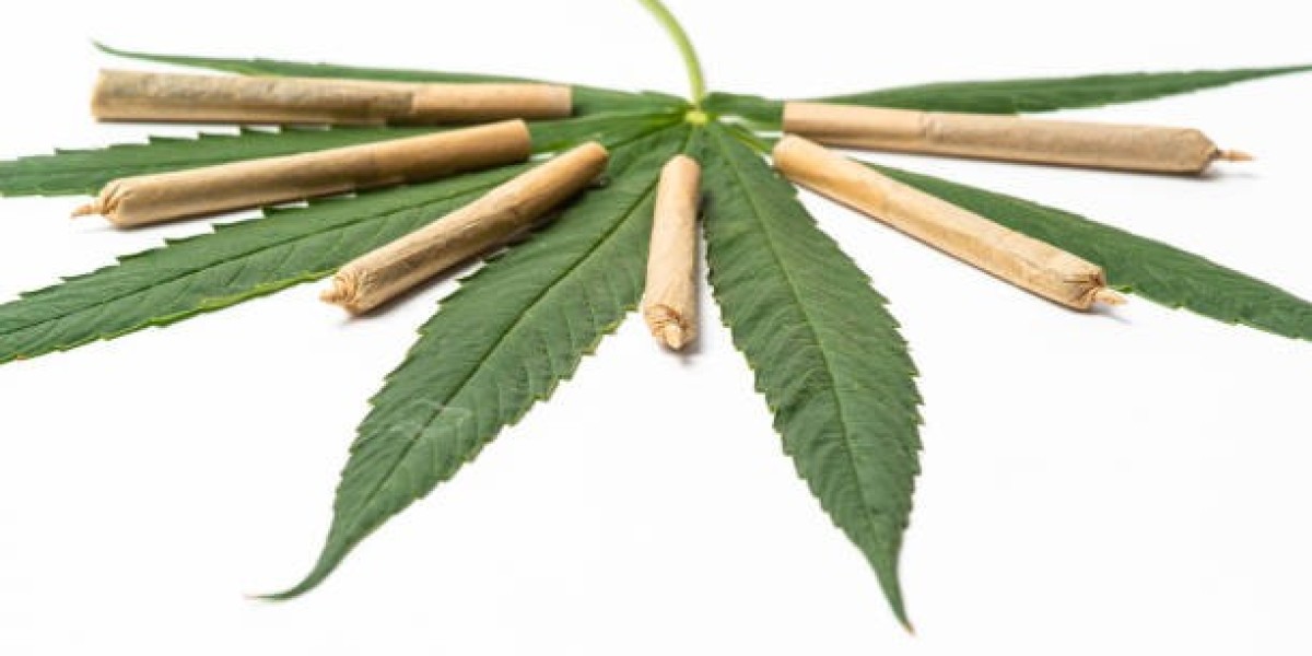 North America Herbal Cigarettes Market by Application with Investment, Gross Margin, Regional Demand