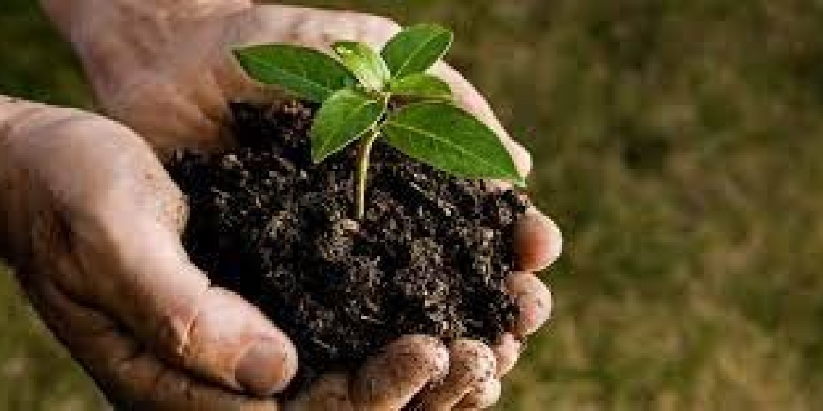 Global Biosolids Market Share, Industry Analysis, Report 2024-2032