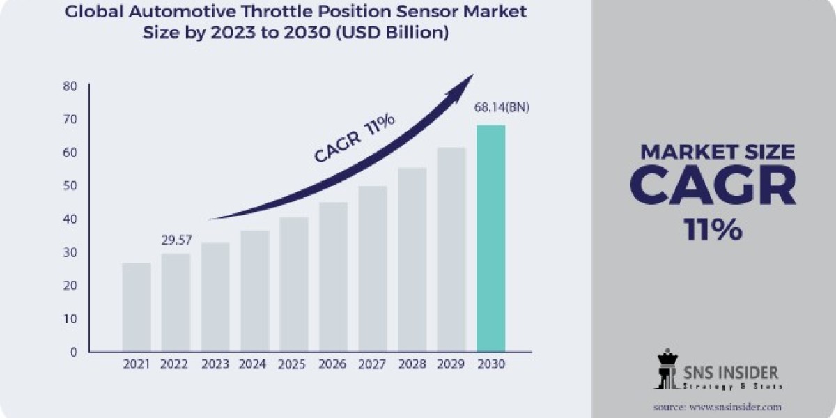 Key Insights into the Automotive Throttle Position Sensor Market: Size, Share & Trends