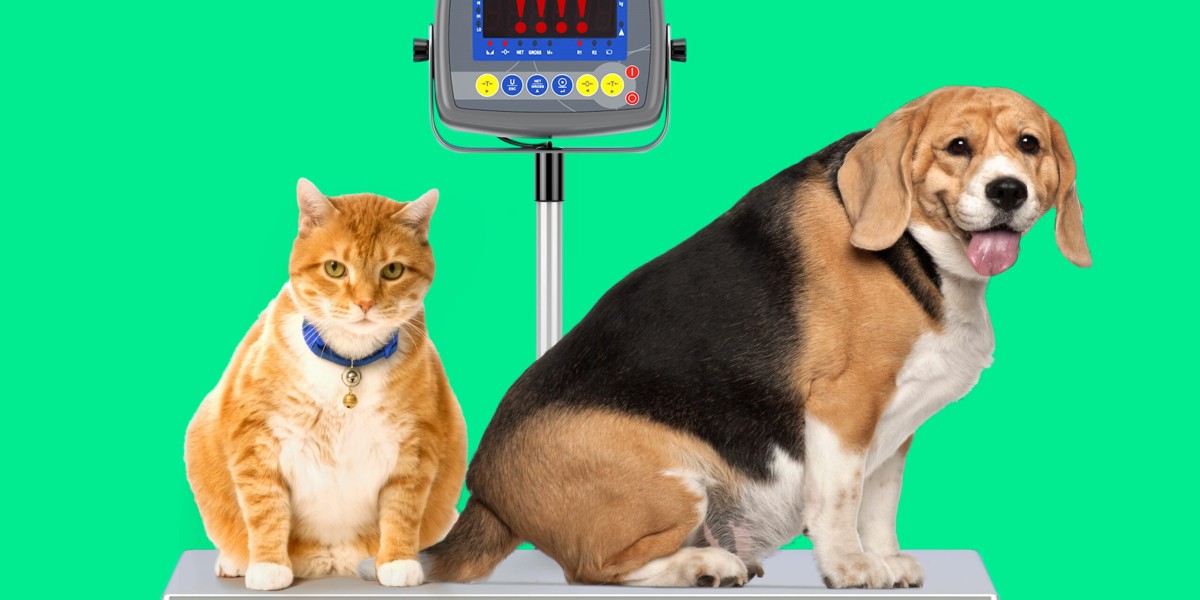 Insights into Veterinary Obesity Management: Market Dynamics and Future Prospects