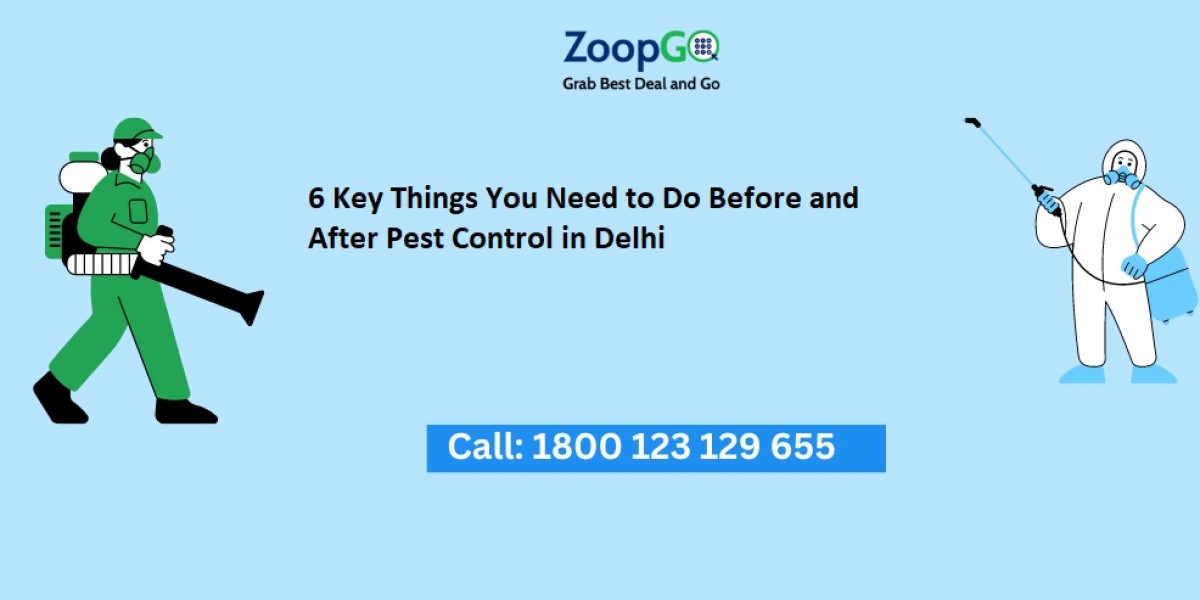 6 Key Things You Need to Do Before and After Pest Control in Delhi