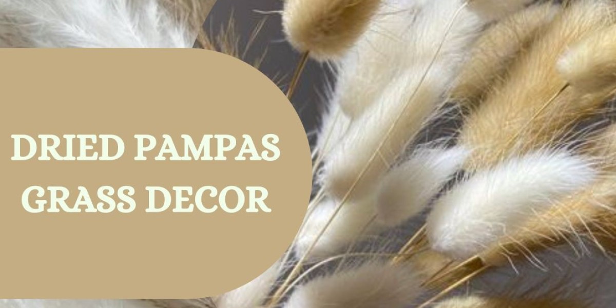 Natural Calm: Using Dried Pampas Grass Decor to Create a Relaxing Room