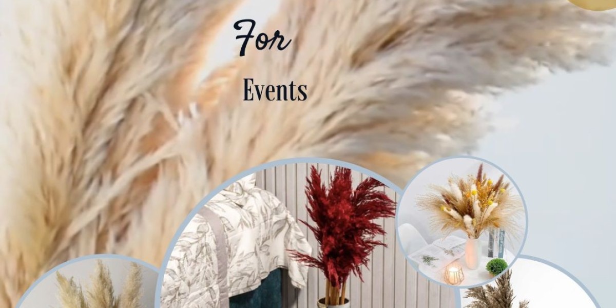 Pampas Grass: Perfect Aesthetic Decor for Events