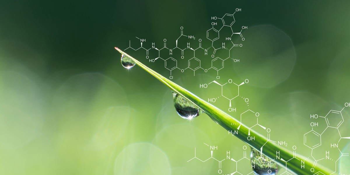 Bio-Based Polymer Market Growth, Industry Trends, Analysis, Report 2024-2032