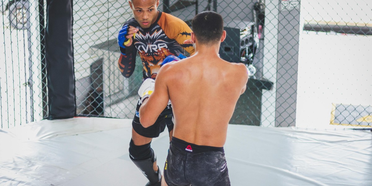 Dive into the Exciting World of Local Cage Fighting