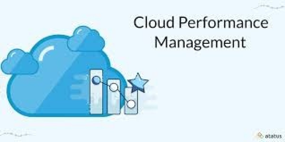 Business Insights: Challenges and Opportunities in Cloud Performance Management Market